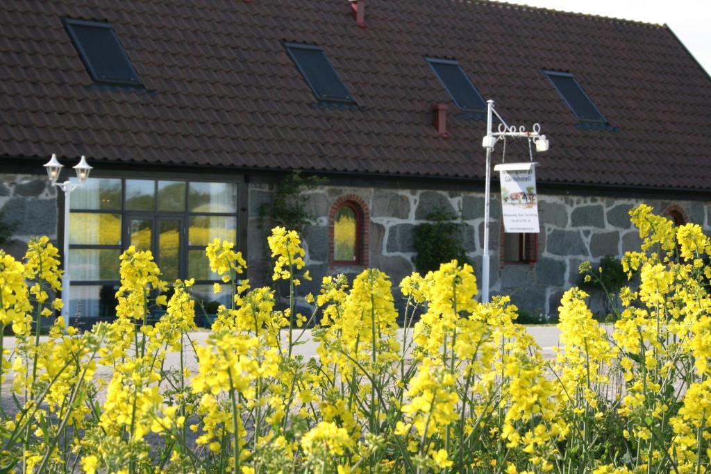 Blasingsborgs Gardshotell Pa Oesterlen Kivik Exterior foto